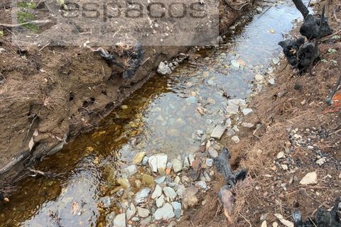 Farm i Fundao, Castelo Branco, Fundao - € 23.000 | Ref: 5896/CP-AG - foto 5