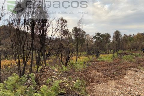 Farm i Fundao, Castelo Branco, Fundao - € 23.000 | Ref: 5896/CP-AG - foto 6