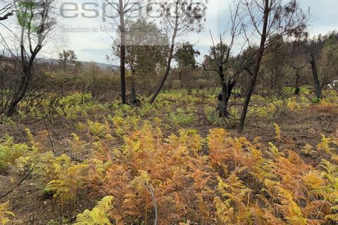 Farm i Fundao, Castelo Branco, Fundao - € 23.000 | Ref: 5896/CP-AG - foto 8
