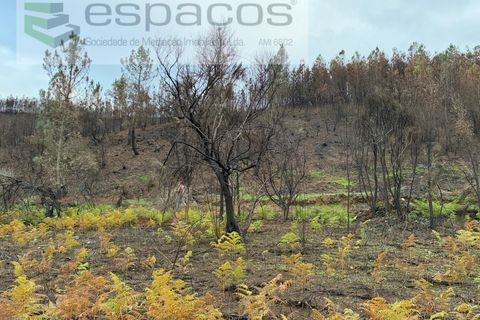 Farm i Fundao, Castelo Branco, Fundao - € 23.000 | Ref: 5896/CP-AG - foto 9