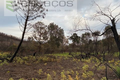 Farm i Fundao, Castelo Branco, Fundao - € 23.000 | Ref: 5896/CP-AG - foto 10