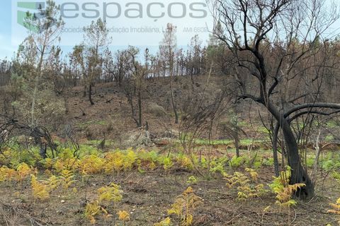 Farm i Fundao, Castelo Branco, Fundao - € 23.000 | Ref: 5896/CP-AG - foto 11