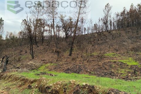 Farm i Fundao, Castelo Branco, Fundao - € 23.000 | Ref: 5896/CP-AG - foto 13