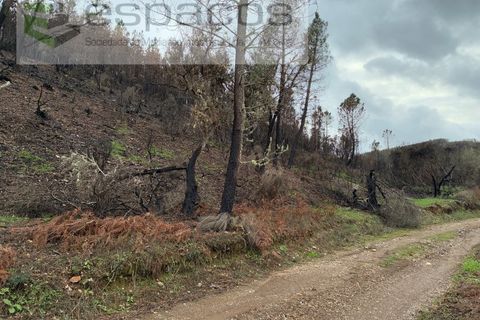 Farm i Fundao, Castelo Branco, Fundao - € 23.000 | Ref: 5896/CP-AG - foto 14