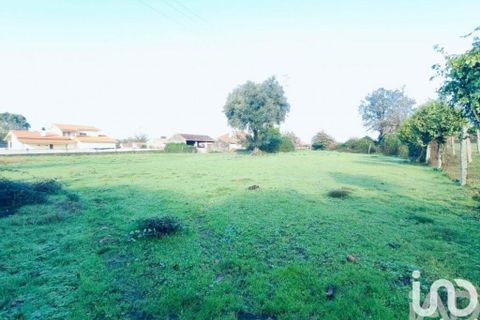 Terrain - Valenca, Viana do Castelo, Valenca - € 25 000 | Réf : 768669 - photo 6