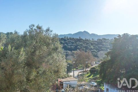 Byhus i Sintra, Lisbon, Sintra - € 825.000 | Ref: 110097 - foto 22