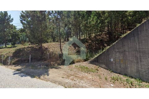 Helårsgrund i Barcelos, Braga, Barcelos - € 88.000 | Ref: TER_3323 - foto 5