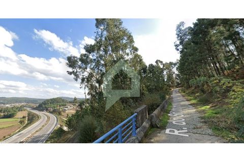 Helårsgrund i Barcelos, Braga, Barcelos - € 88.000 | Ref: TER_3323 - foto 6