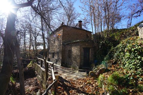 Landejendom i Pitres, Granada, Pitres - € 500.000 | Ref: PC568 - foto 35