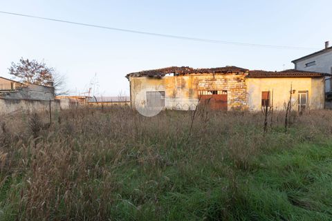 Terra a Gambara, Brescia, Gambara - € 270.000 | Ref: 6415062020-1324 - foto 5
