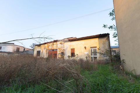Terra a Gambara, Brescia, Gambara - € 270.000 | Ref: 6415062020-1324 - foto 9
