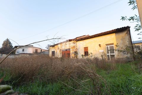 Terra a Gambara, Brescia, Gambara - € 270.000 | Ref: 6415062020-1324 - foto 10