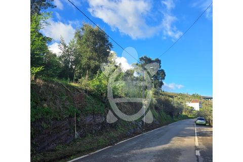 Helårsgrund i Coimbra, Coimbra, Coimbra - € 50.000 | Ref: cbr3358 - foto 2