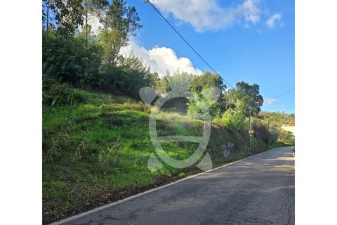 Helårsgrund i Coimbra, Coimbra, Coimbra - € 50.000 | Ref: cbr3358 - foto 3