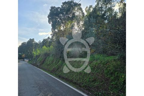 Helårsgrund i Coimbra, Coimbra, Coimbra - € 50.000 | Ref: cbr3358 - foto 4