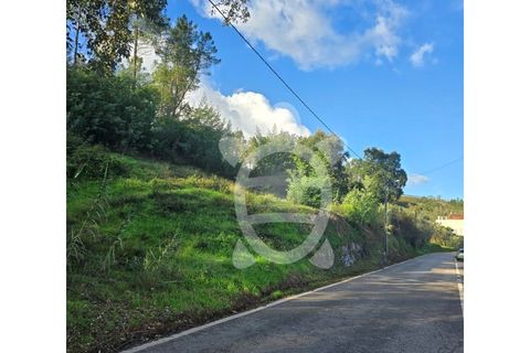 Helårsgrund i Coimbra, Coimbra, Coimbra - € 50.000 | Ref: cbr3358 - foto 5