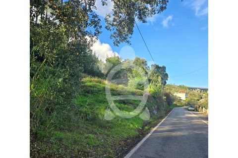 Helårsgrund i Coimbra, Coimbra, Coimbra - € 50.000 | Ref: cbr3358 - foto 6