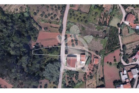 Helårsgrund i Coimbra, Coimbra, Coimbra - € 28.500 | Ref: cbr3356 - foto 1