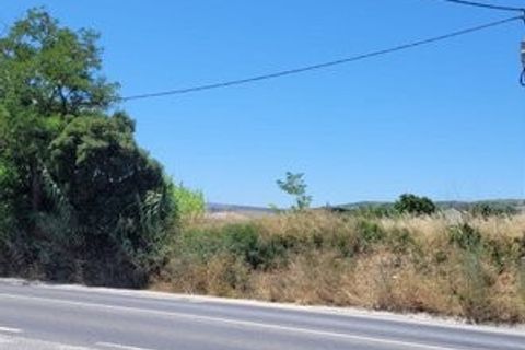 Helårsgrund i Alenquer, Lisbon, Alenquer - € 1.200.000 | Ref: ptm4565 - foto 4