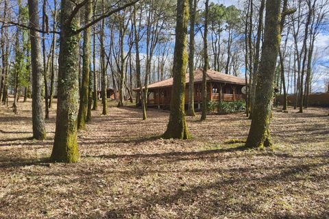 Træhytte i Ambrus, Lot-et-Garonne, Ambrus - € 399.000 | Ref: 12008 - foto 12