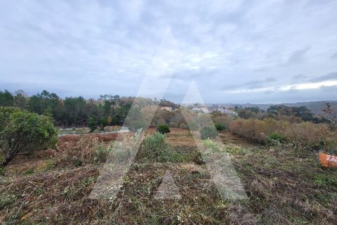 Helårsgrund i Viseu, Viseu, Viseu - € 420.000 | Ref: 1180616/25VS - foto 3