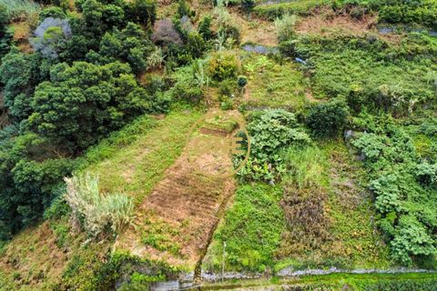 Helårsgrund i Machico, Madeira, Machico - € 25.000 | Ref: ONE361628-151 - foto 3