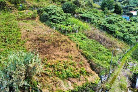 Helårsgrund i Machico, Madeira, Machico - € 25.000 | Ref: ONE361628-151 - foto 4