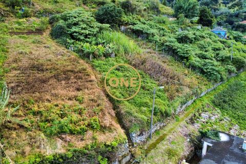 Helårsgrund i Machico, Madeira, Machico - € 25.000 | Ref: ONE361628-151 - foto 5