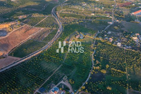 Farm hus i Estombar, Faro, Estombar - € 1.390.000 | Ref: IM027-PV - foto 39