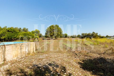Helårsgrund i Alenquer, Lisbon, Alenquer - € 1.750.000 | Ref: HT_11126 - foto 4
