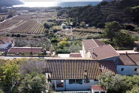Leilighet i Capoliveri, Livorno, Capoliveri - € 278 000 | Ref: CBI123-1588-228 - foto 4