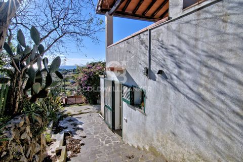 Leilighet i Capoliveri, Livorno, Capoliveri - € 278 000 | Ref: CBI123-1588-228 - foto 27