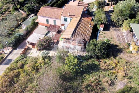 Leilighet i Capoliveri, Livorno, Capoliveri - € 278 000 | Ref: CBI123-1588-228 - foto 36
