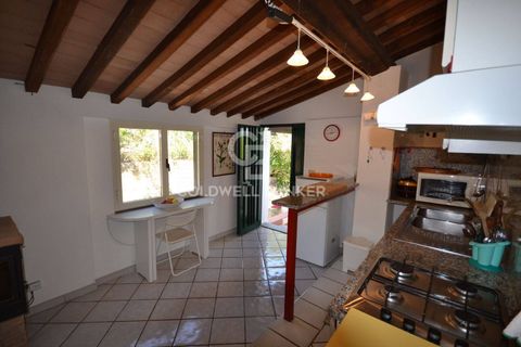 Leilighet i Capoliveri, Livorno, Capoliveri - € 278 000 | Ref: CBI123-1588-228 - foto 8