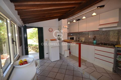 Leilighet i Capoliveri, Livorno, Capoliveri - € 278 000 | Ref: CBI123-1588-228 - foto 11