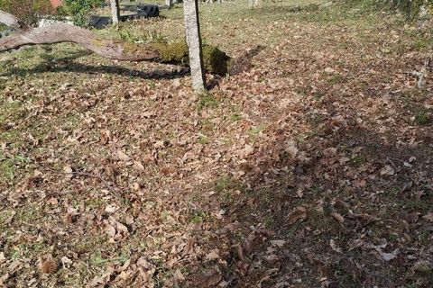 Byhus i Caminha, Viana do Castelo, Caminha - € 275.000 | Ref: 146937 - foto 12