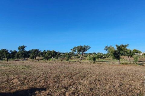 Byhus i Nisa, Portalegre, Nisa - € 225.000 | Ref: 734626 - foto 32