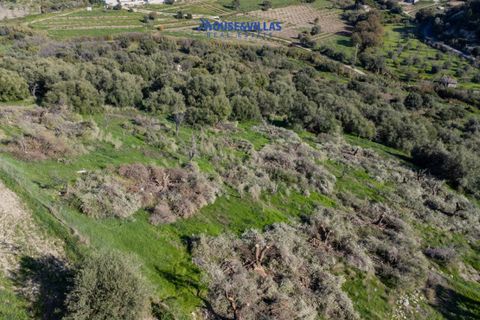 Helårsgrund i Noto, Siracusa, Noto - € 140.000 | Ref: 1231 - foto 3
