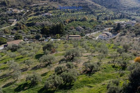 Helårsgrund i Noto, Siracusa, Noto - € 140.000 | Ref: 1231 - foto 4