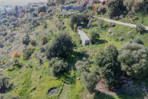 Helårsgrund i Noto, Siracusa, Noto - € 140.000 | Ref: 1231 - foto 5