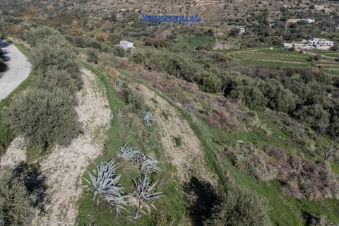 Helårsgrund i Noto, Siracusa, Noto - € 140.000 | Ref: 1231 - foto 6