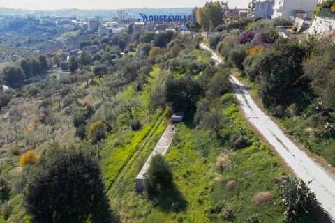 Helårsgrund i Noto, Siracusa, Noto - € 140.000 | Ref: 1231 - foto 7