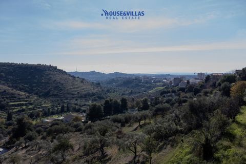 Helårsgrund i Noto, Siracusa, Noto - € 140.000 | Ref: 1231 - foto 8