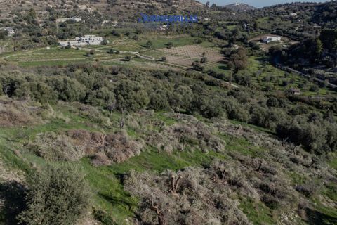 Helårsgrund i Noto, Siracusa, Noto - € 140.000 | Ref: 1231 - foto 9
