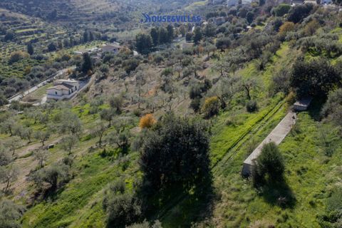 Helårsgrund i Noto, Siracusa, Noto - € 140.000 | Ref: 1231 - foto 10