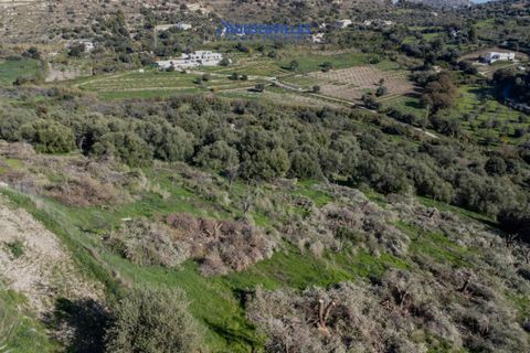 Helårsgrund i Noto, Siracusa, Noto - € 140.000 | Ref: 1231 - foto 11