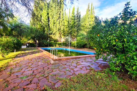 Villa a Xativa, Valencia, Xativa - € 390.000 | Ref: XaCJ1 - foto 39