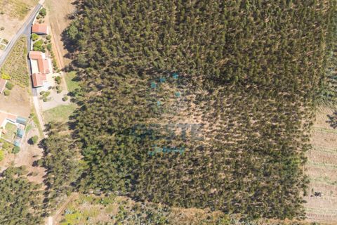 Helårsgrund i Bombarral, Leiria, Bombarral - € 95.000 | Ref: 2025/0049 - foto 4