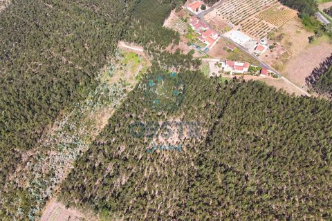 Helårsgrund i Bombarral, Leiria, Bombarral - € 95.000 | Ref: 2025/0049 - foto 10