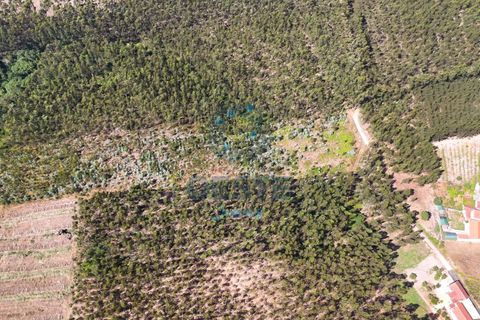 Helårsgrund i Bombarral, Leiria, Bombarral - € 95.000 | Ref: 2025/0049 - foto 12